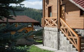Аура Карпат